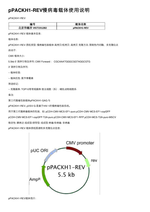 pPACKH1-REV慢病毒载体使用说明