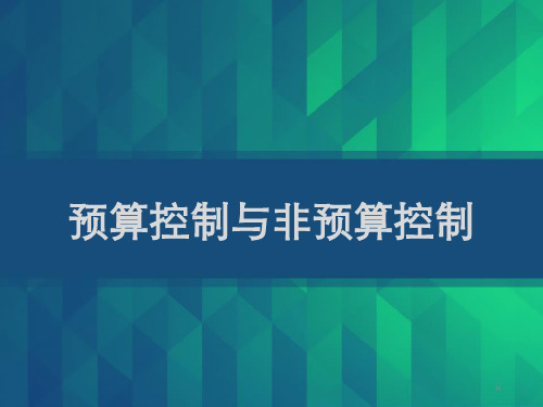 预算控制与非预算控制 PPT