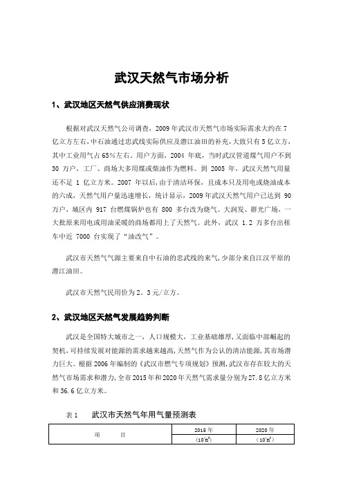 武汉天然气市场分析---精品模板