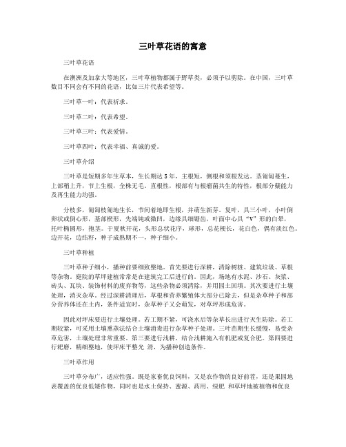 三叶草花语的寓意