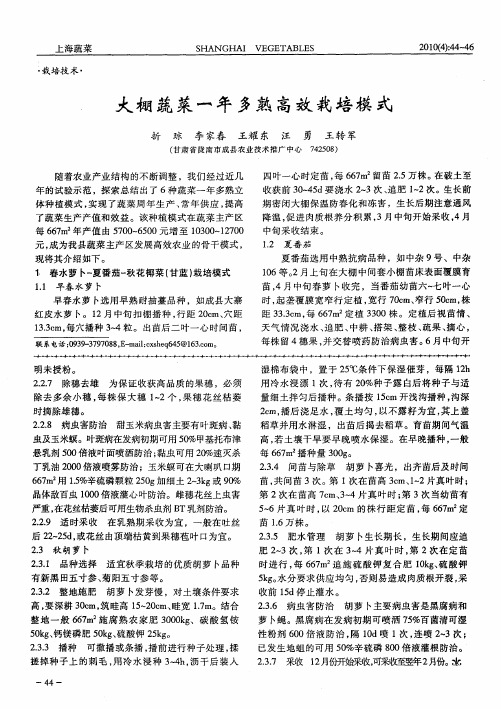 大棚蔬菜一年多熟高效栽培模式