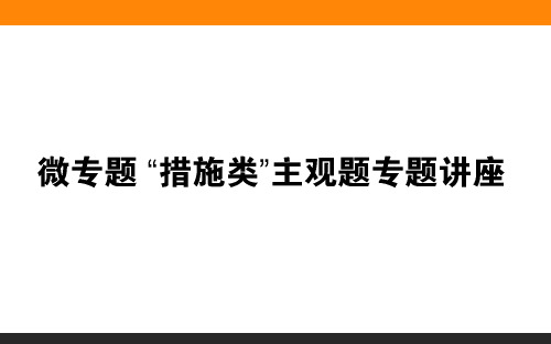 必修 微专题 “措施类”主观题专题讲座(课件)-《师说》高中全程复习方略·政治