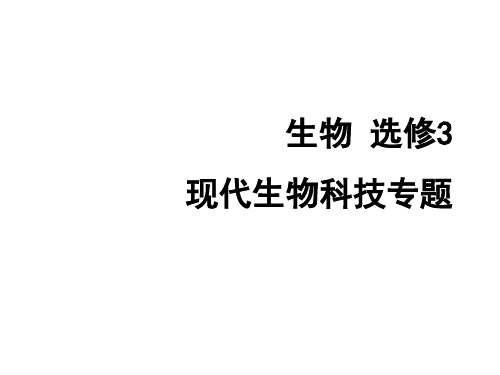 高中生物复习课件-DNA重组技术的基本工具