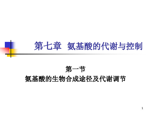 氨基酸的代谢与控制(1)