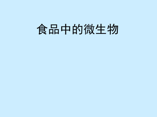 中国农业大学食品微生物学课件——食源微生物
