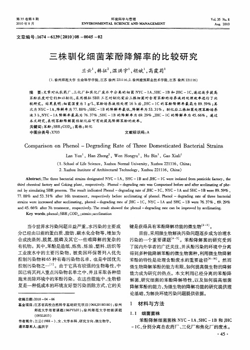 三株驯化细菌苯酚降解率的比较研究