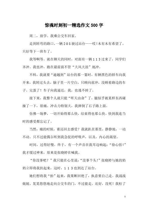 惊魂时刻初一精选作文500字