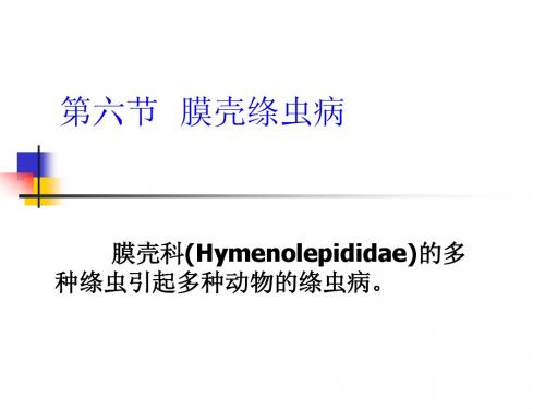 绦虫病 壳膜绦虫病