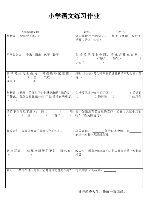 小学语文课堂强化训练I (91)