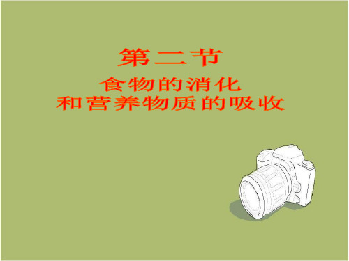 生物七年级下册：8.2 食物的消化和营养物质的吸收 课件  (2)