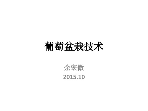 葡萄盆栽技术