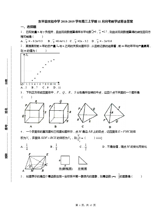 东平县实验中学2018-2019学年高三上学期11月月考数学试卷含答案
