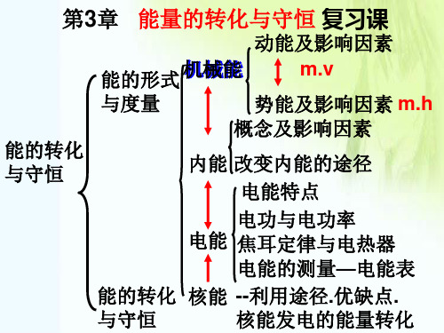 浙教版九年级科学上册第三章复习课