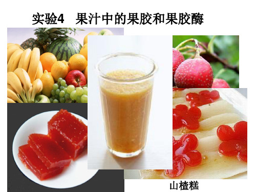 浙科版高中生物选修一 第二部分 实验 果汁中的果胶和果胶酶