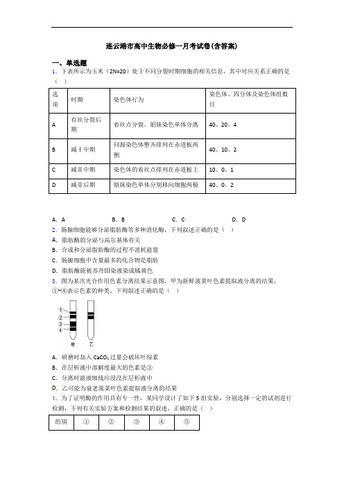 连云港市高中生物必修一月考试卷(含答案)