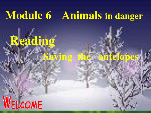 Module6Reading课件外研版选修5