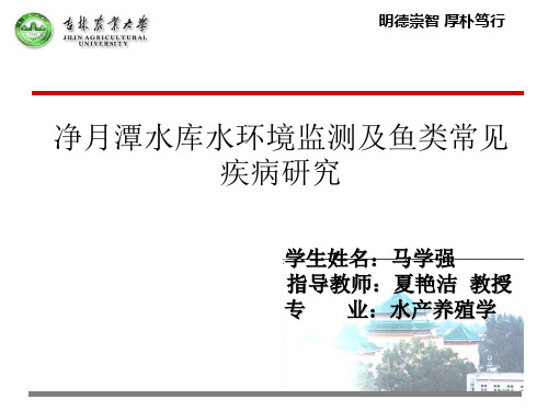 农林水产本科答辩