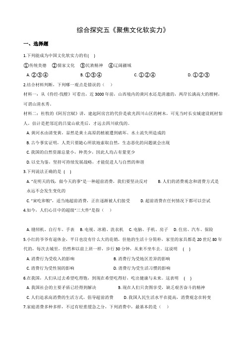 人教版历史与社会九年级下册同步作业：综合探究五《聚焦文化软实力》