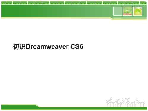 网页设计与制作01-项目1 初识Dreamweaver CS6(站点的创建与管理)