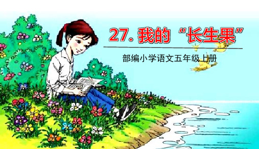 部编版五年级语文上册第27课《我的“长生果”》优秀ppt课件