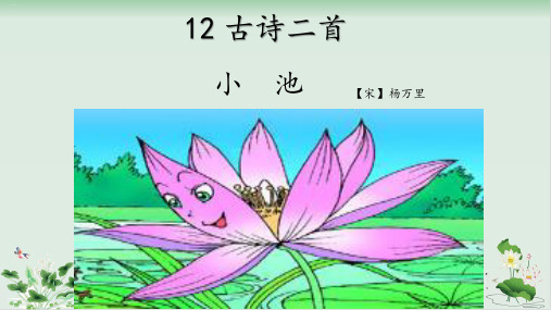 部编版《小池》PPT优秀课件1