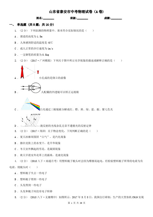 山东省泰安市中考物理试卷(A卷)