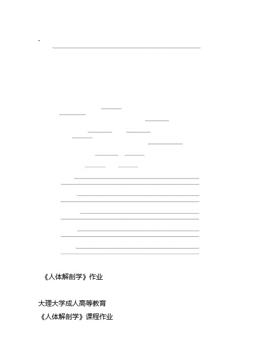 《人体解剖学》19专升本护理第一学期作业【期末考试题库】-(30076)