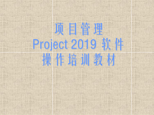 项目管理软件Project2019操作培训教材(177P) 178页PPT文档