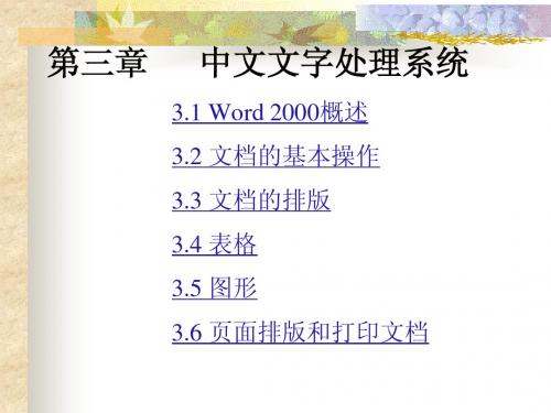 第三章 中文文字处理系统