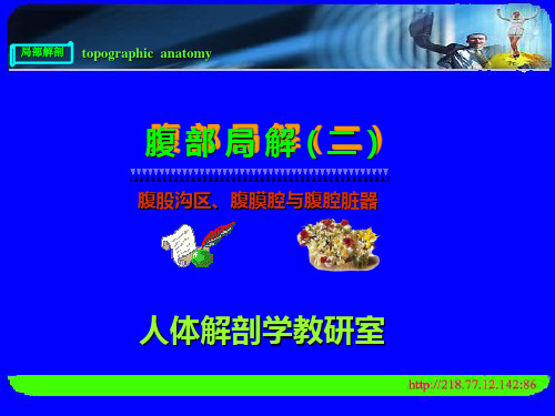 腹部局解(二)