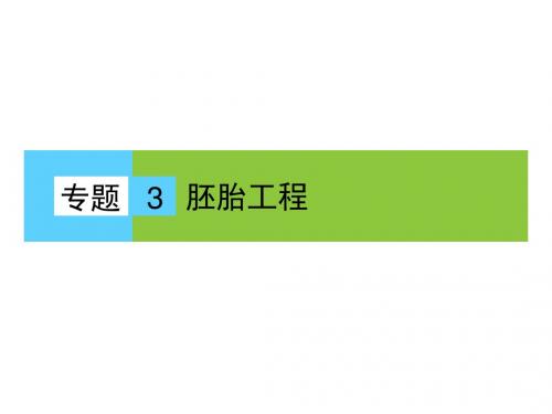 高中生物(人教版)选修3课件：专题3胚胎工程 3.3