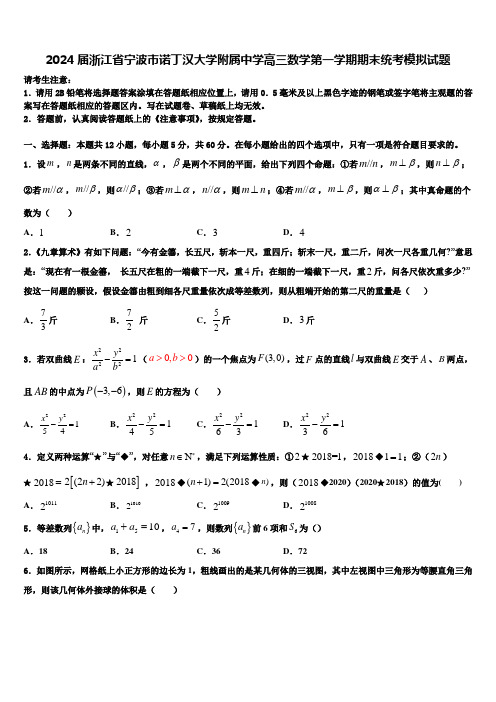 2024届浙江省宁波市诺丁汉大学附属中学高三数学第一学期期末统考模拟试题含解析