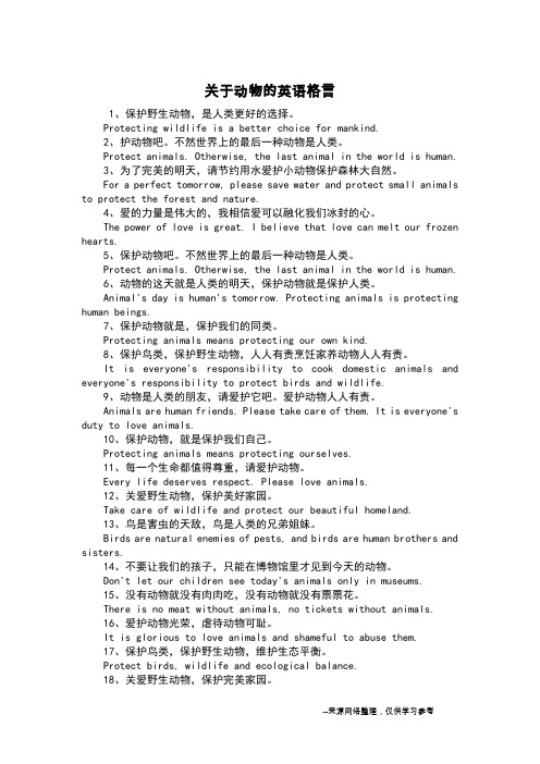 关于动物的英语格言