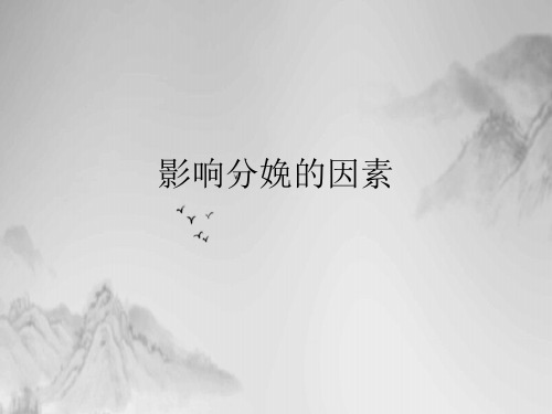 影响分娩的因素课件PPT