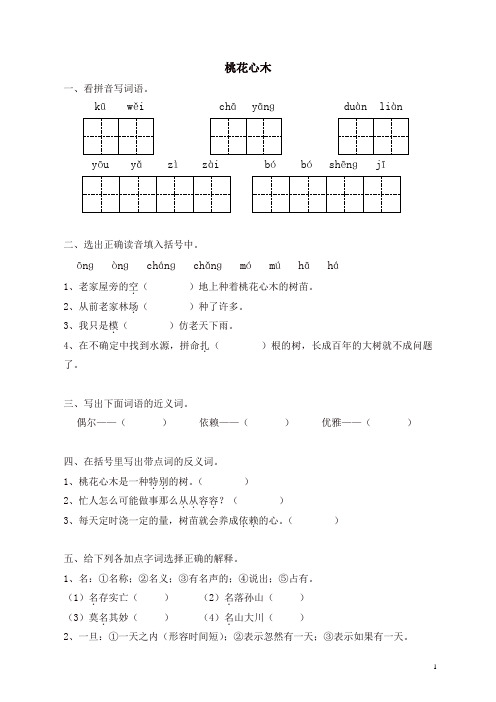 部编人教版六年级语文下册课时同步练习-3桃花心木(有答案)