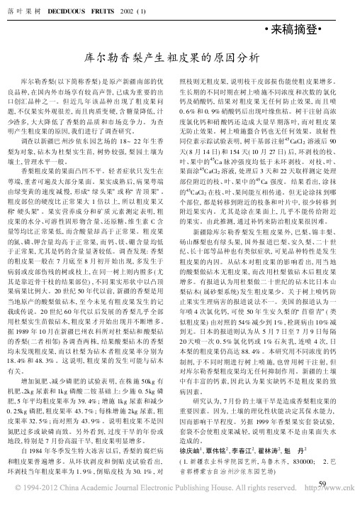 库尔勒香梨产生粗皮果的原因分析
