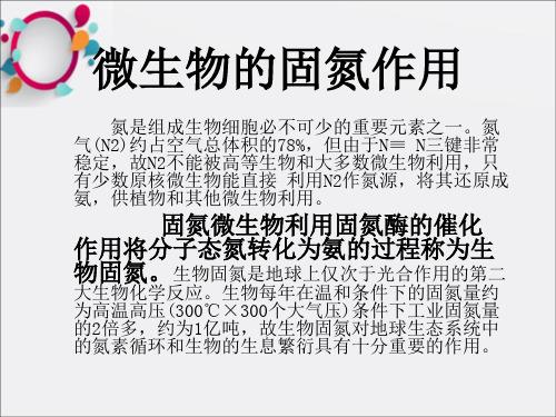 《微生物的固氮作用》PPT课件