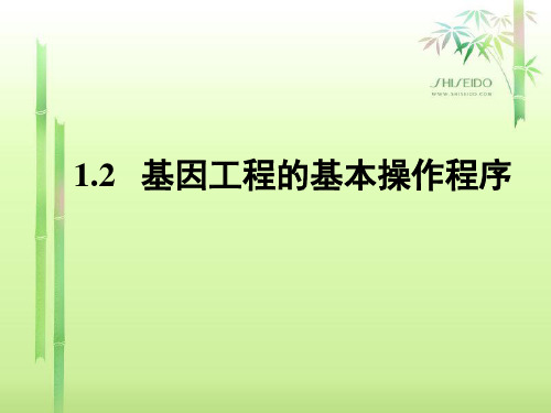 1.2_基因工程的基本操作程序