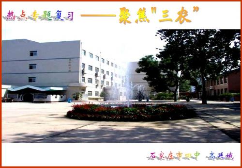 政治聚焦三农之多角度分析-PPT课件