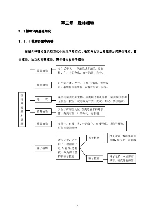 林学概论 第三章  森林植物剖析