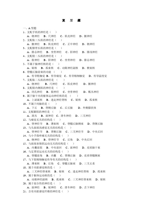 神经系统复习