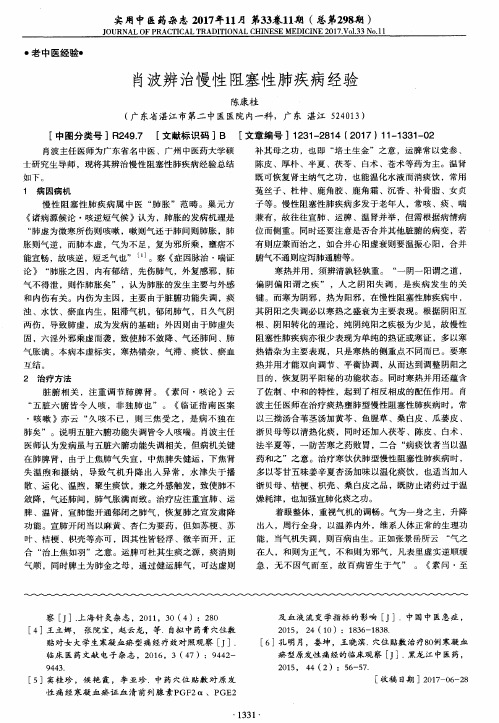 肖波辨治慢性阻塞性肺疾病经验