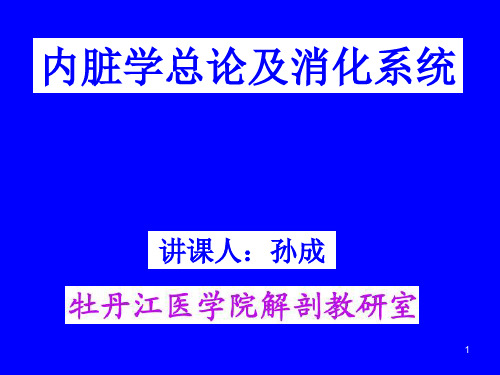 内脏学总论及消化系统