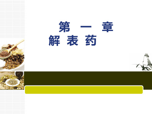发散风寒药中药药方