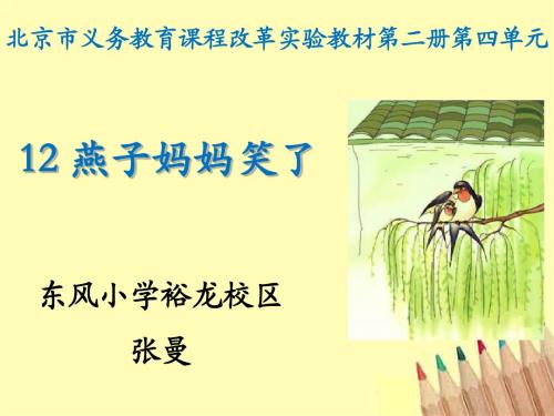燕子妈妈笑了