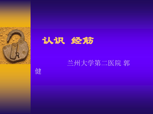 认识经筋