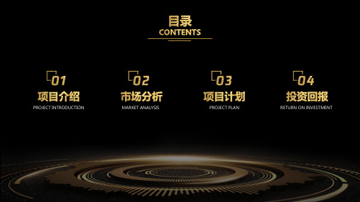 携手努力 再创辉煌——璀璨金高端项目计划书ppt模板