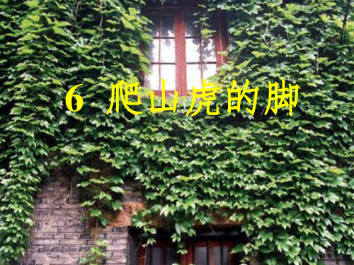 爬山虎的脚1-文档资料