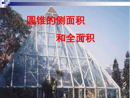 8.圆锥的侧面积课件.ppt