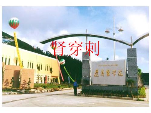肾穿剌